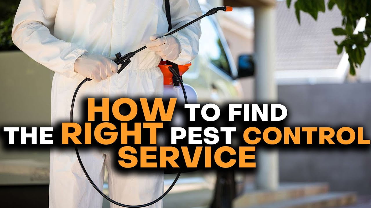 Find the Right Pest Control Service!