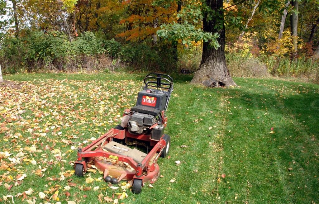 Autumn lawn care, Lawn Care in Autumn Tool
